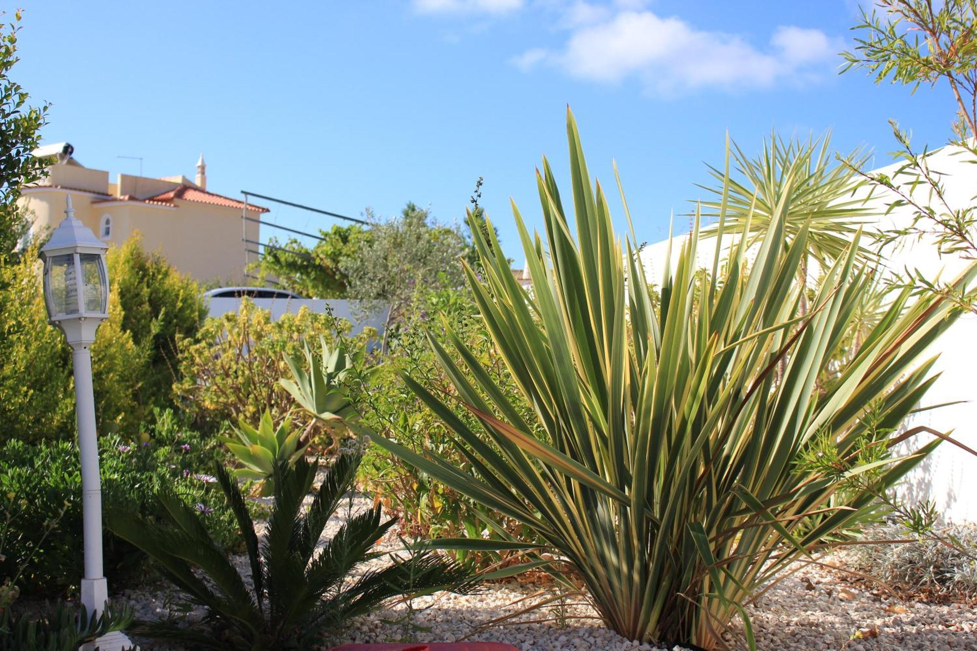 Hotel Sunshine Albufeira Exterior foto