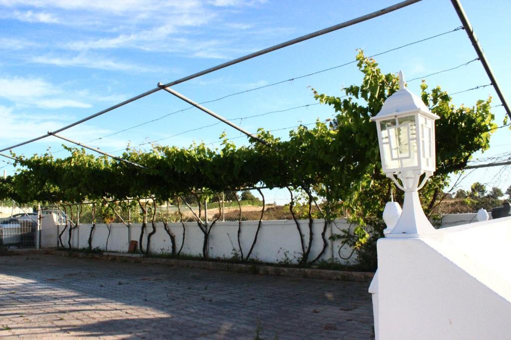 Hotel Sunshine Albufeira Exterior foto